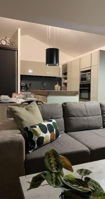 Meet - Airbus - Tramway Holiday home Aussonne